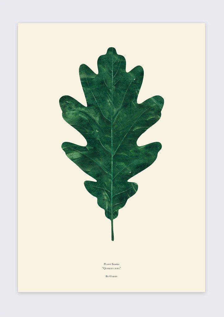 By Garmi plakát - QUERCUS ALBA