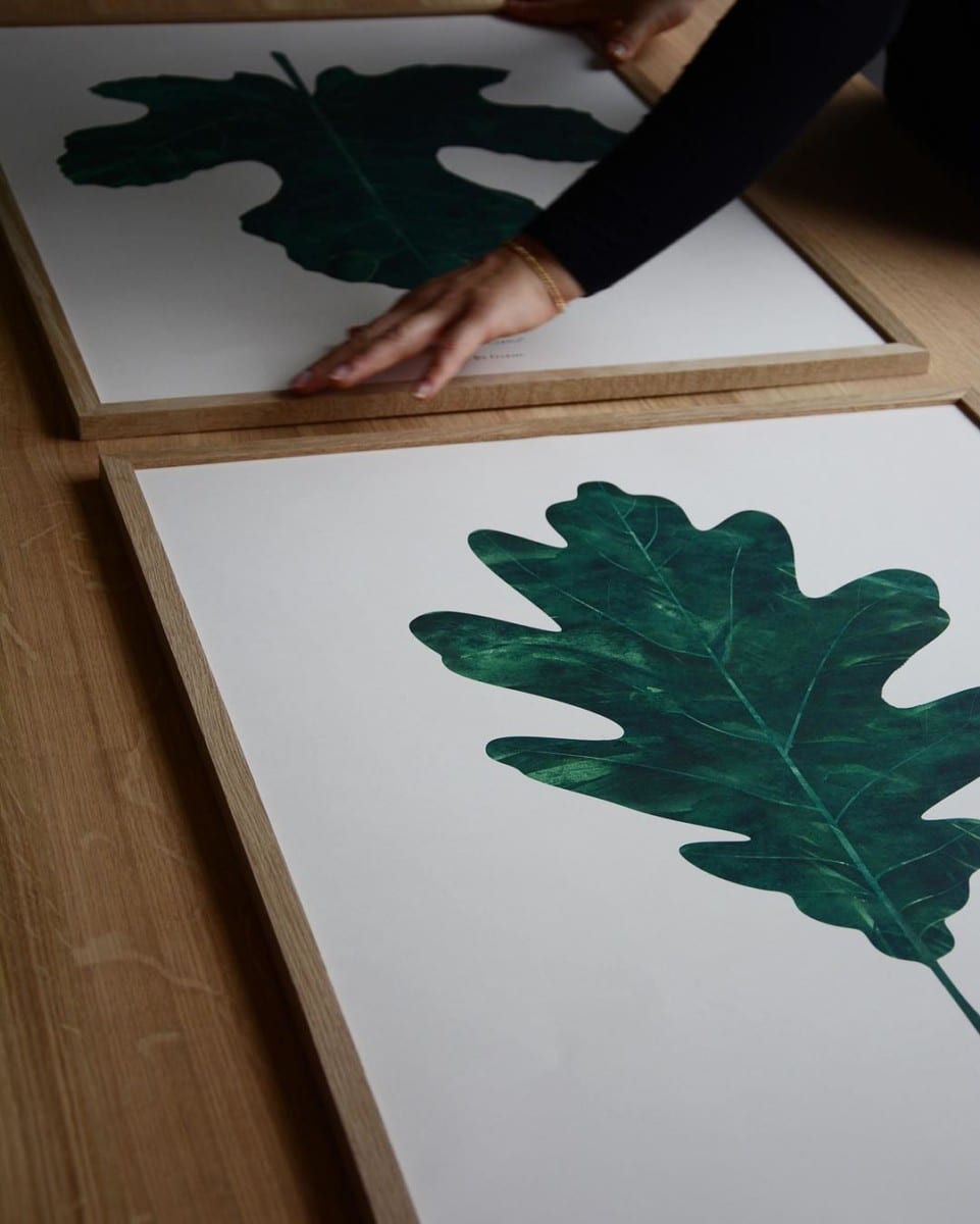 By Garmi plakát - FICUS CARICA